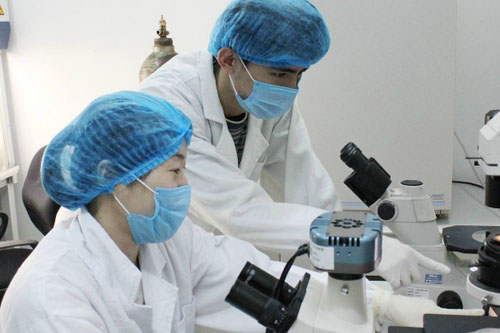 報(bào)關(guān)、報(bào)檢、檢驗(yàn)檢疫、商檢、查驗(yàn)之間的區(qū)別