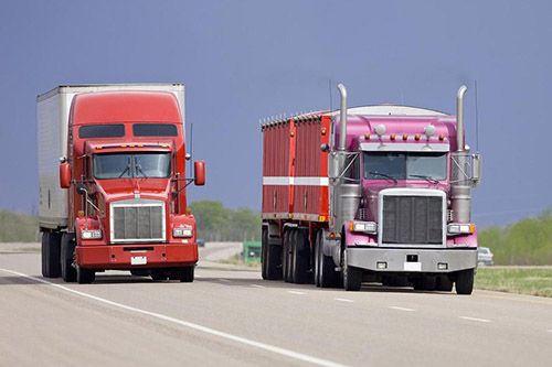 美國(guó)海卡、海派是什么？有什么區(qū)別